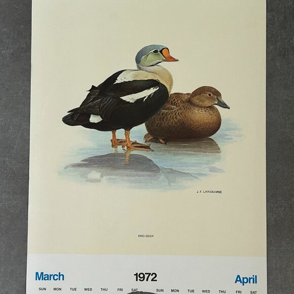 Vintage 1971 & 1972 Calendar Prints J.F. Lansdowne Birds - Picture 8 of 10